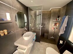 Parc Vista (D22), Condominium #462785431